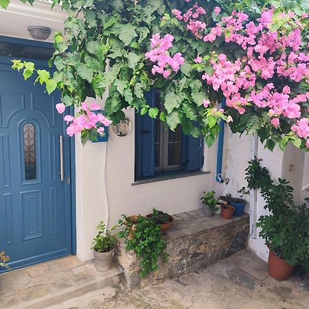 스코펠로스 타운 Kastro House 빌라 외부 사진