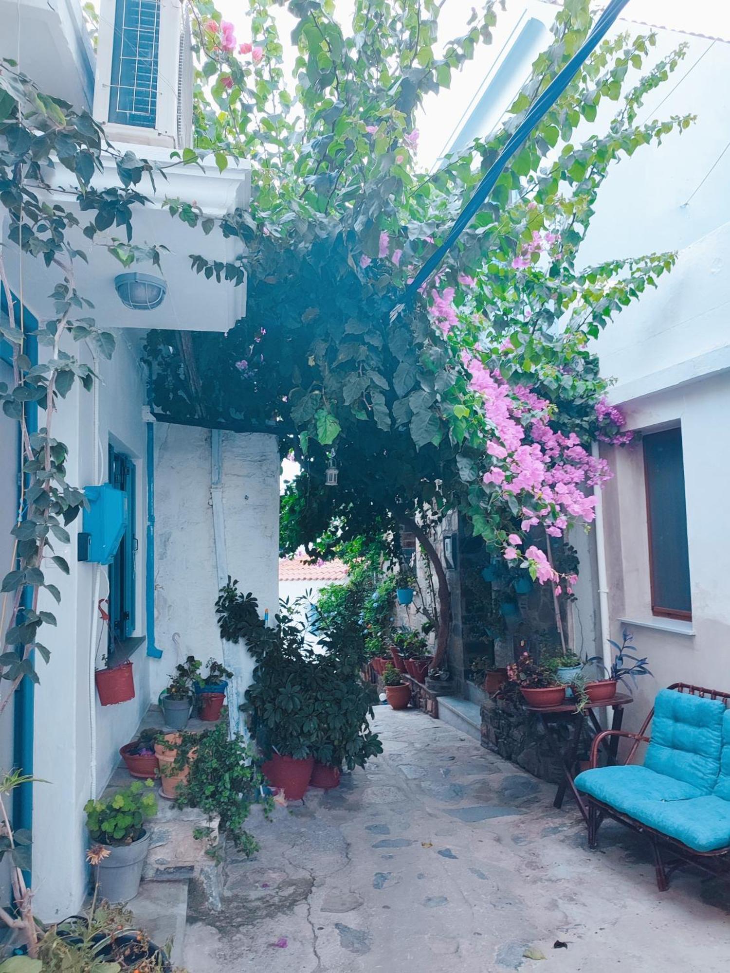 스코펠로스 타운 Kastro House 빌라 외부 사진