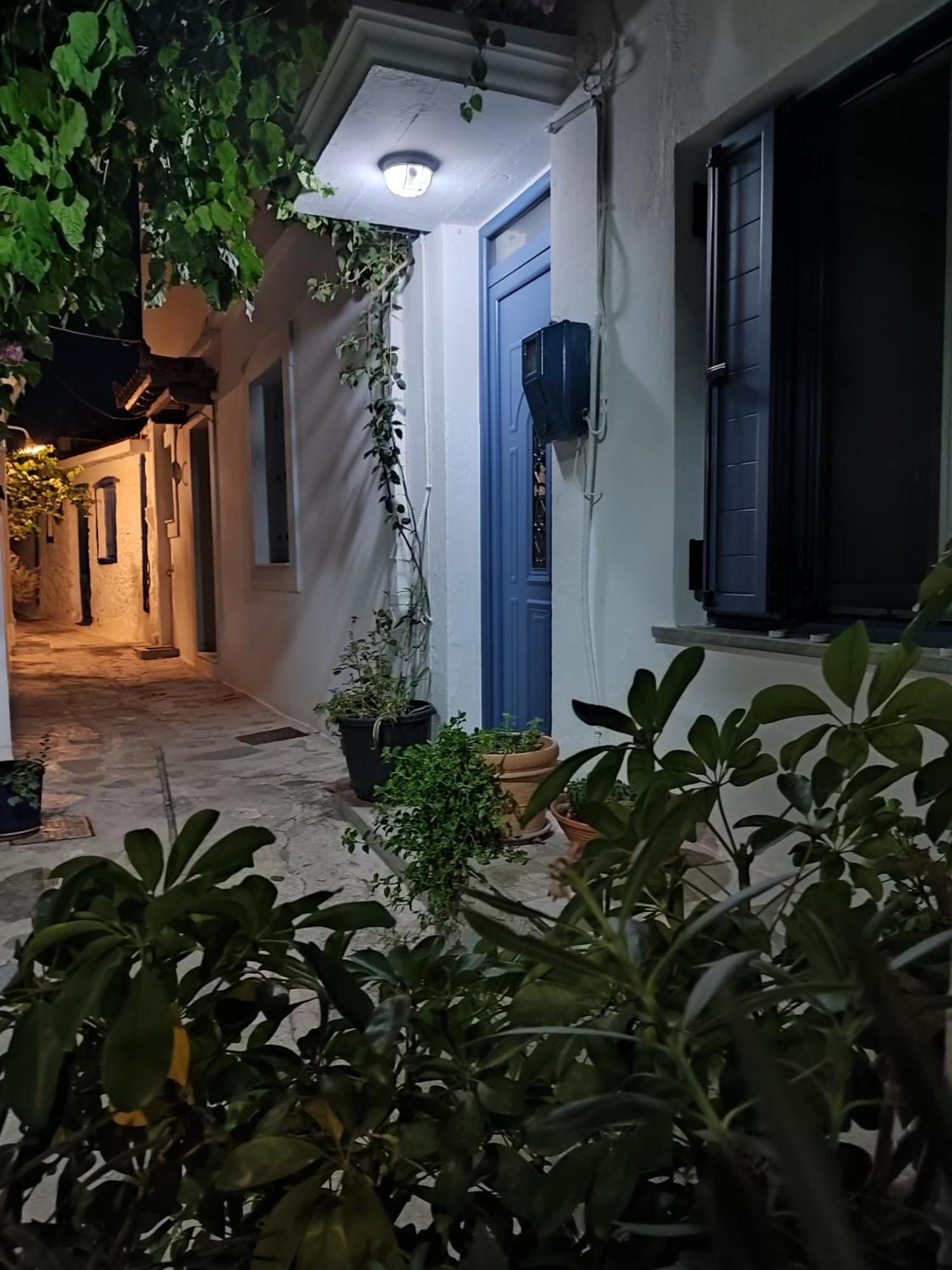 스코펠로스 타운 Kastro House 빌라 외부 사진